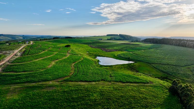 0 Bedroom Property for Sale in Mount Verde KwaZulu-Natal