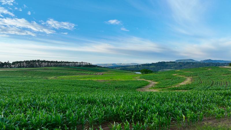 0 Bedroom Property for Sale in Mount Verde KwaZulu-Natal