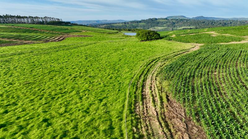 0 Bedroom Property for Sale in Mount Verde KwaZulu-Natal