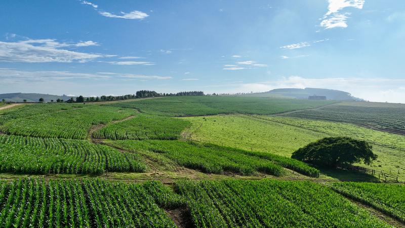 0 Bedroom Property for Sale in Mount Verde KwaZulu-Natal