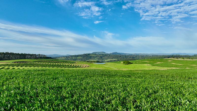 0 Bedroom Property for Sale in Mount Verde KwaZulu-Natal