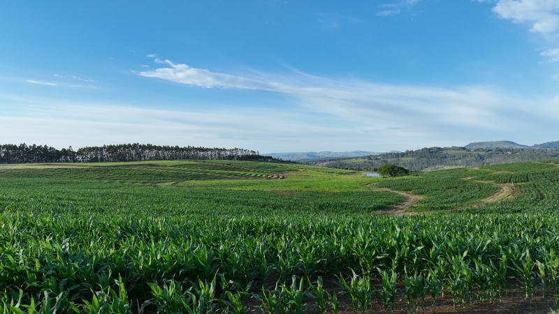 0 Bedroom Property for Sale in Mount Verde KwaZulu-Natal