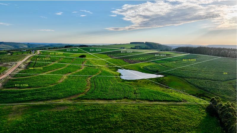 0 Bedroom Property for Sale in Mount Verde KwaZulu-Natal