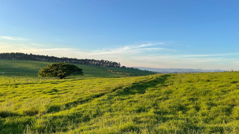 0 Bedroom Property for Sale in Mount Verde KwaZulu-Natal