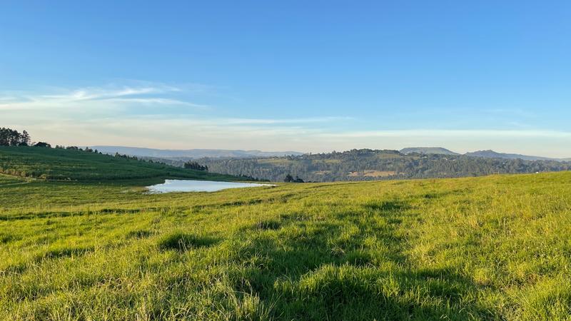 0 Bedroom Property for Sale in Mount Verde KwaZulu-Natal