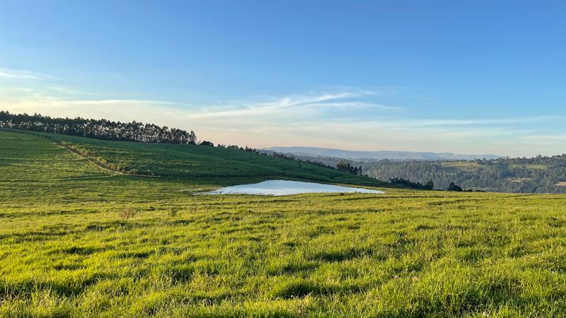 0 Bedroom Property for Sale in Mount Verde KwaZulu-Natal