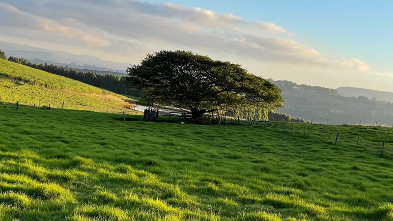 0 Bedroom Property for Sale in Mount Verde KwaZulu-Natal