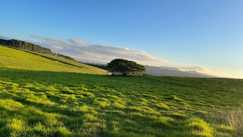 0 Bedroom Property for Sale in Mount Verde KwaZulu-Natal