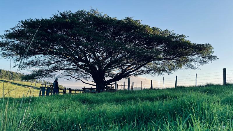 0 Bedroom Property for Sale in Mount Verde KwaZulu-Natal