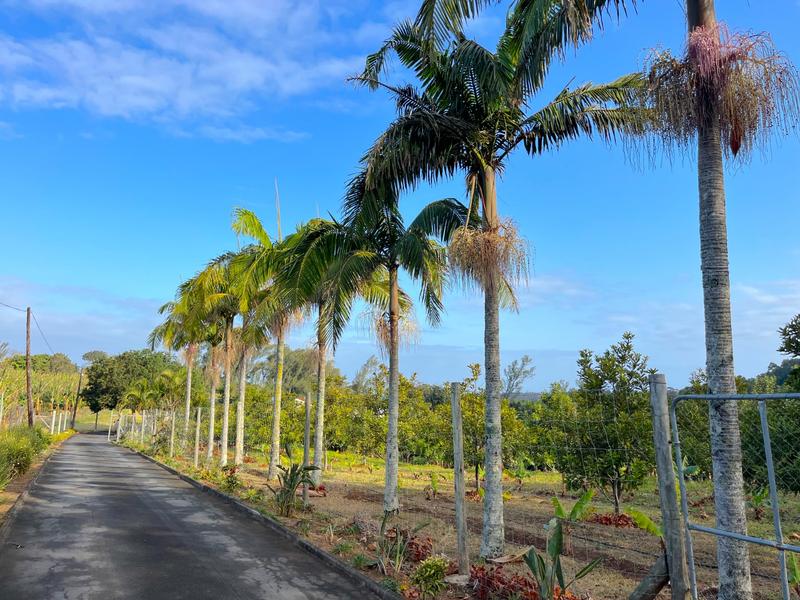 4 Bedroom Property for Sale in Port Edward KwaZulu-Natal