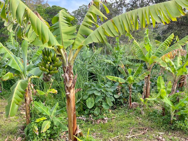 4 Bedroom Property for Sale in Port Edward KwaZulu-Natal