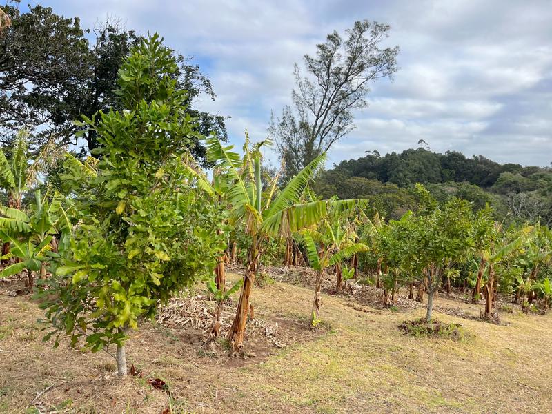 4 Bedroom Property for Sale in Port Edward KwaZulu-Natal