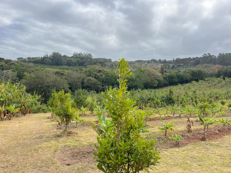 4 Bedroom Property for Sale in Port Edward KwaZulu-Natal