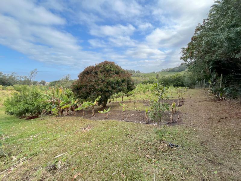 4 Bedroom Property for Sale in Port Edward KwaZulu-Natal