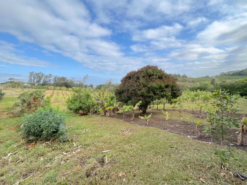 4 Bedroom Property for Sale in Port Edward KwaZulu-Natal