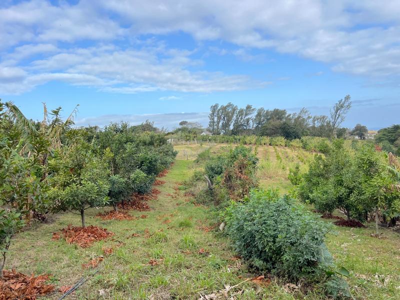 4 Bedroom Property for Sale in Port Edward KwaZulu-Natal