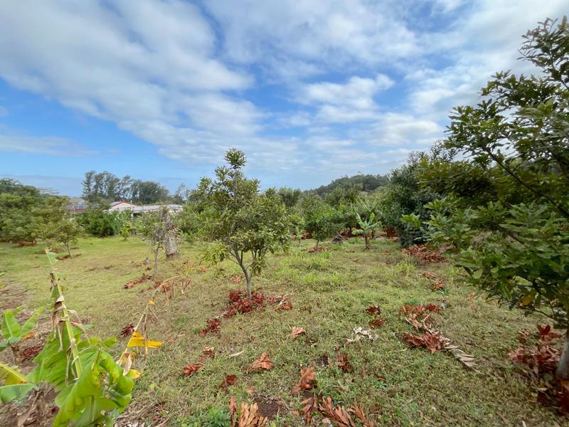 4 Bedroom Property for Sale in Port Edward KwaZulu-Natal