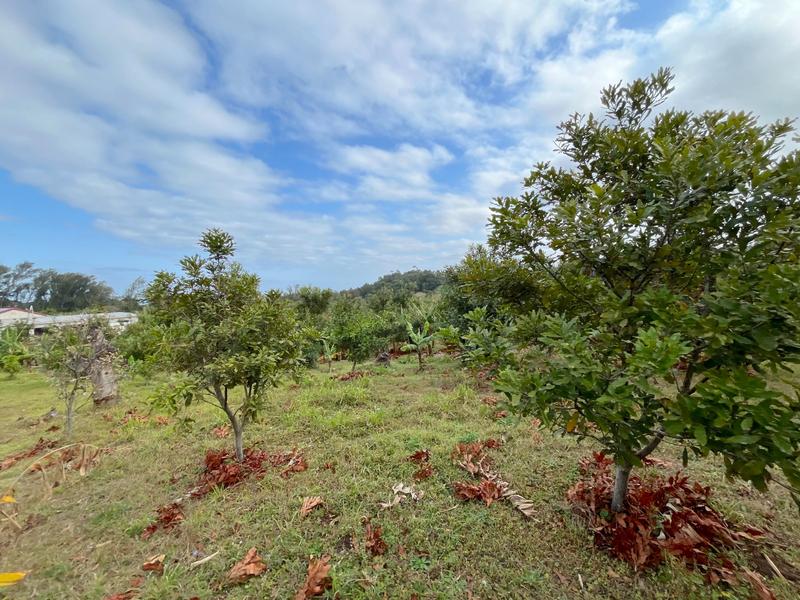 4 Bedroom Property for Sale in Port Edward KwaZulu-Natal