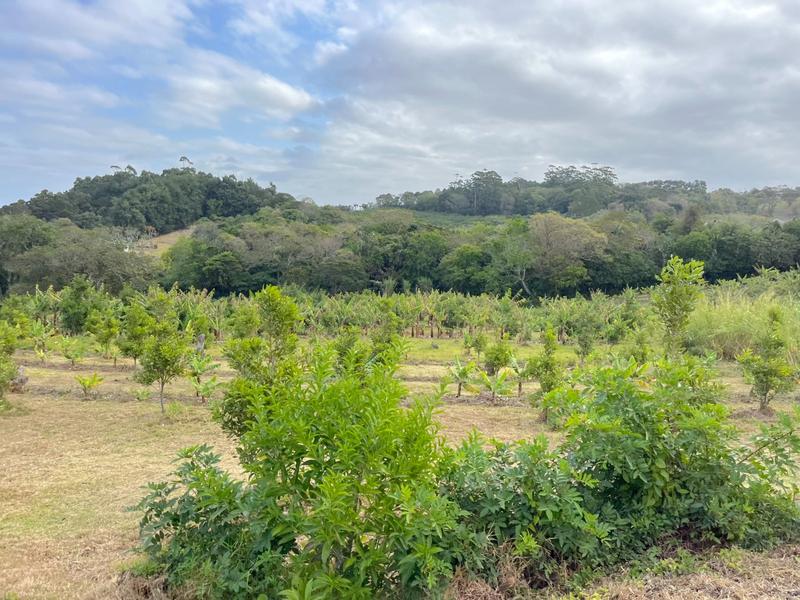 4 Bedroom Property for Sale in Port Edward KwaZulu-Natal