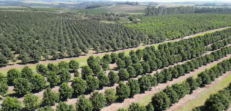 Commercial Property for Sale in Paddock KwaZulu-Natal