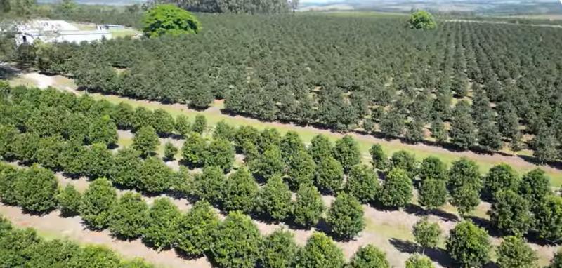 Commercial Property for Sale in Paddock KwaZulu-Natal