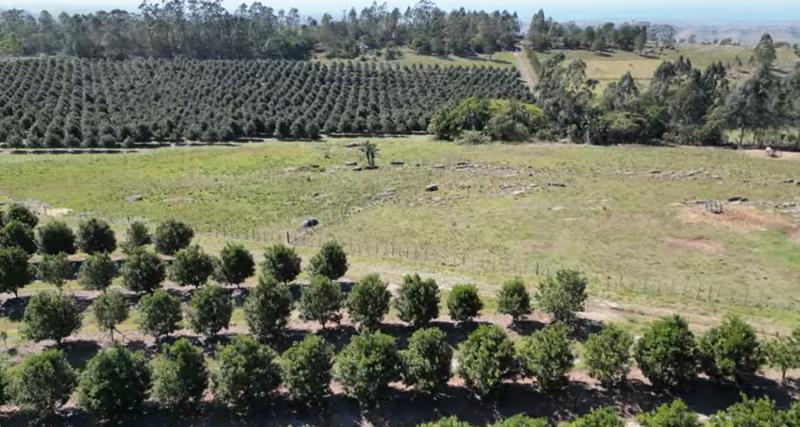 Commercial Property for Sale in Paddock KwaZulu-Natal