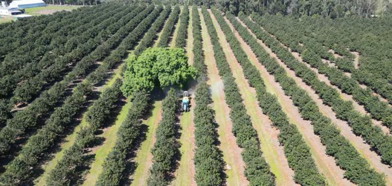 Commercial Property for Sale in Paddock KwaZulu-Natal