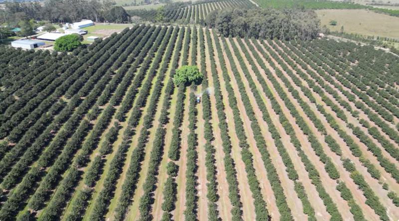 Commercial Property for Sale in Paddock KwaZulu-Natal