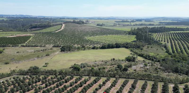 Commercial Property for Sale in Paddock KwaZulu-Natal