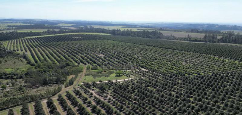 Commercial Property for Sale in Paddock KwaZulu-Natal