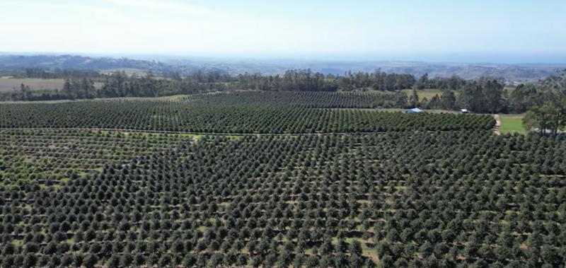 Commercial Property for Sale in Paddock KwaZulu-Natal