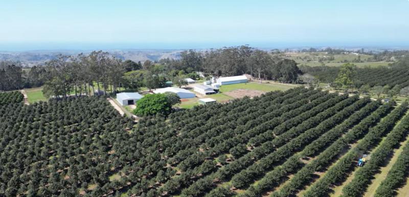 Commercial Property for Sale in Paddock KwaZulu-Natal