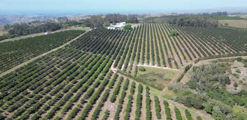 Commercial Property for Sale in Paddock KwaZulu-Natal