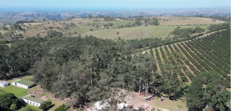 Commercial Property for Sale in Paddock KwaZulu-Natal