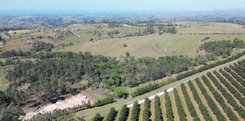 Commercial Property for Sale in Paddock KwaZulu-Natal