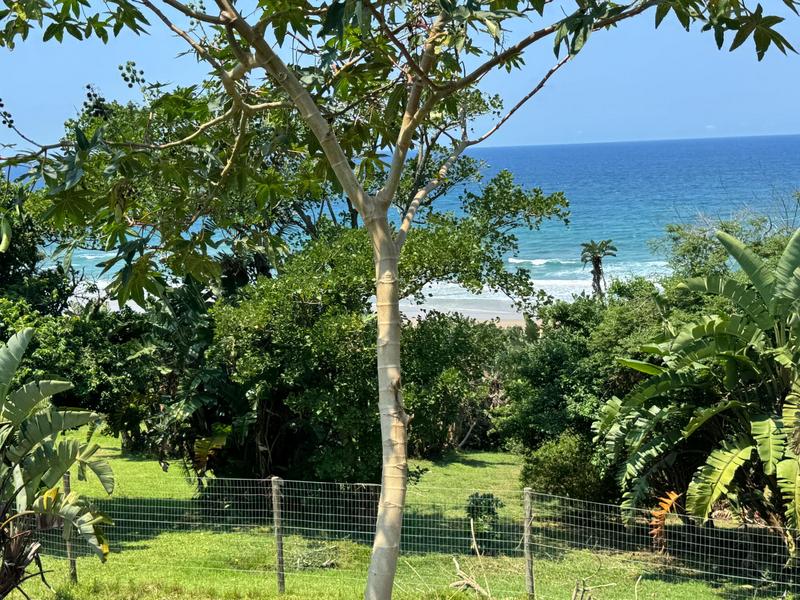 0 Bedroom Property for Sale in Trafalgar KwaZulu-Natal