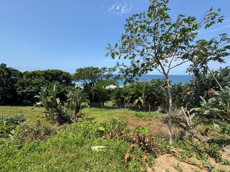 0 Bedroom Property for Sale in Trafalgar KwaZulu-Natal