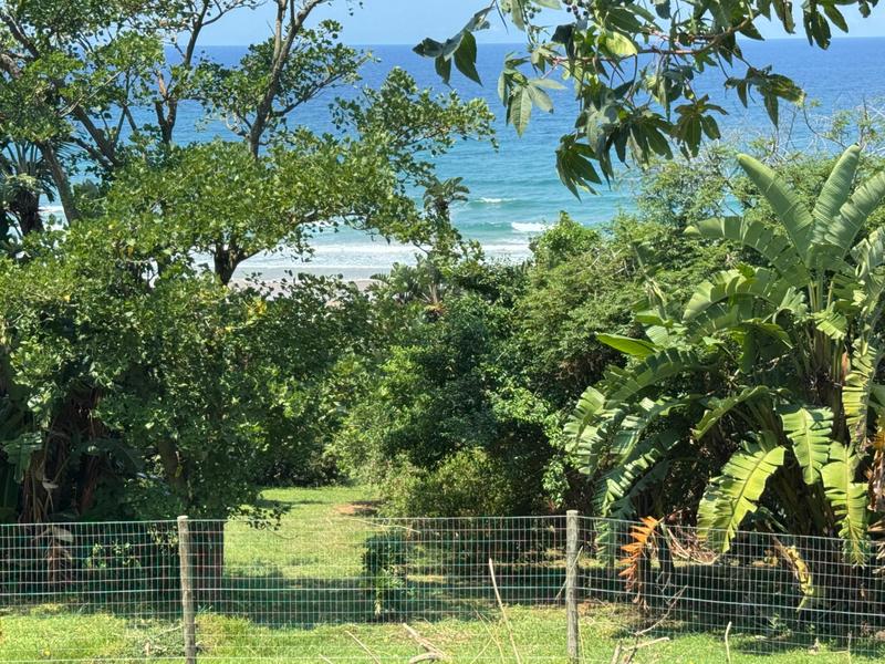 0 Bedroom Property for Sale in Trafalgar KwaZulu-Natal