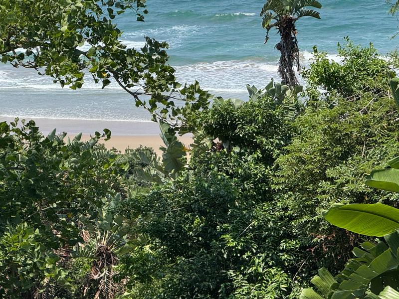 0 Bedroom Property for Sale in Trafalgar KwaZulu-Natal