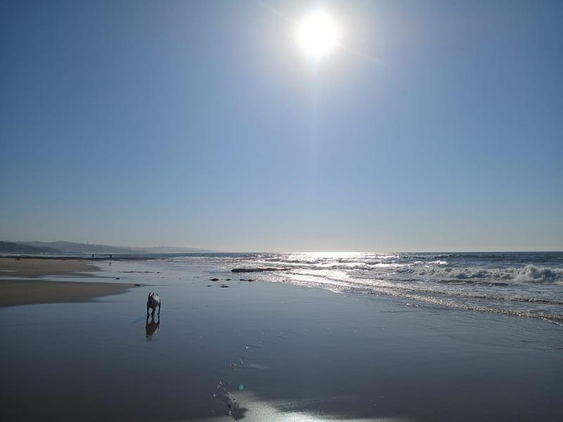 0 Bedroom Property for Sale in Trafalgar KwaZulu-Natal