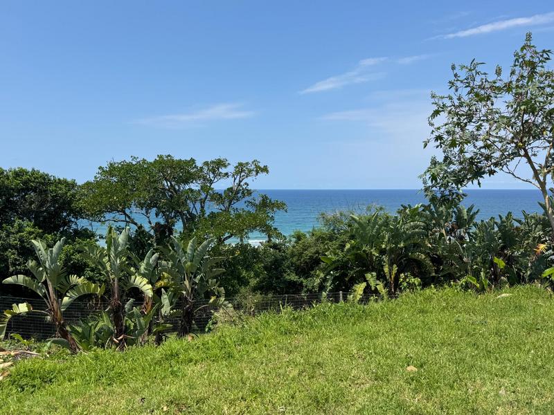 0 Bedroom Property for Sale in Trafalgar KwaZulu-Natal