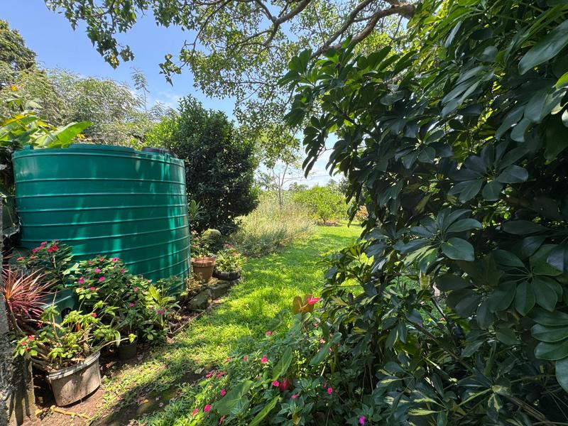 5 Bedroom Property for Sale in Port Edward KwaZulu-Natal