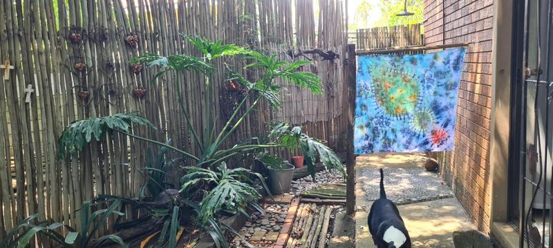 4 Bedroom Property for Sale in Dundee KwaZulu-Natal