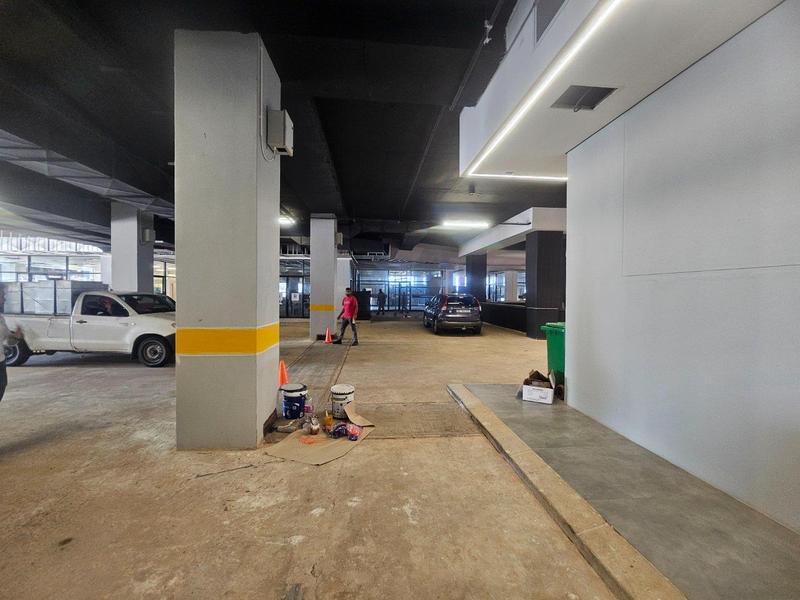 To Let 3 Bedroom Property for Rent in Musgrave KwaZulu-Natal