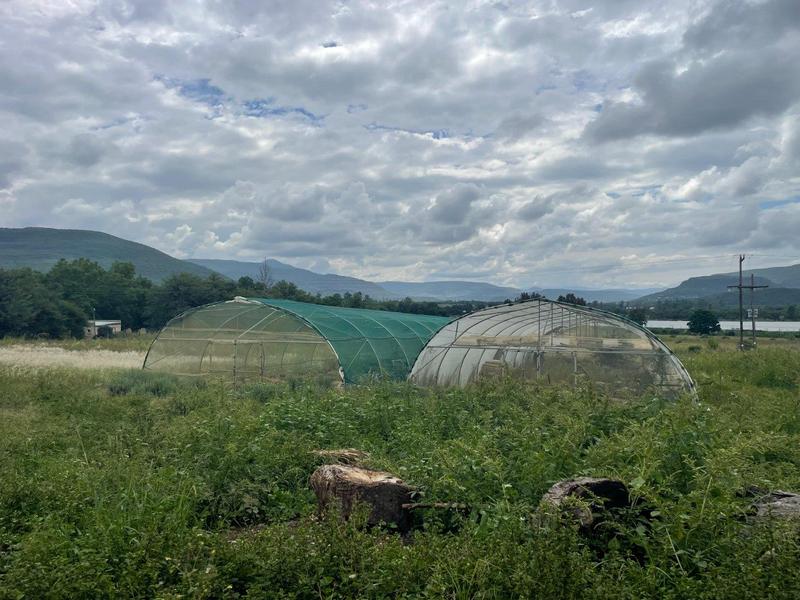 7 Bedroom Property for Sale in Greytown KwaZulu-Natal