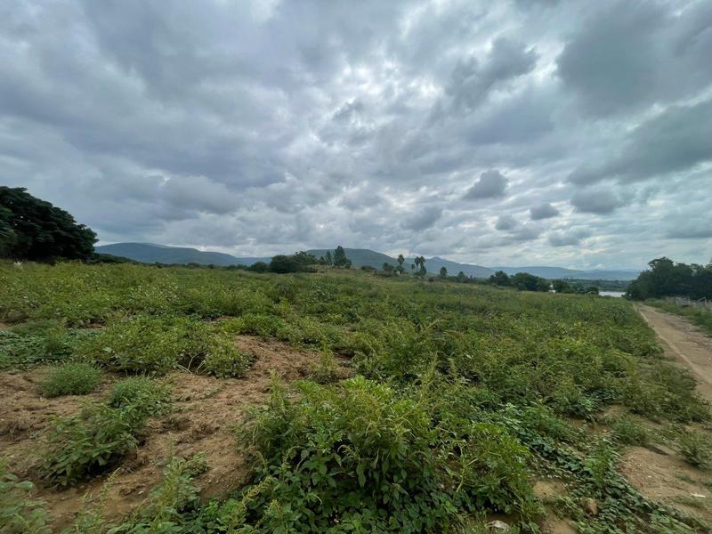 7 Bedroom Property for Sale in Greytown KwaZulu-Natal