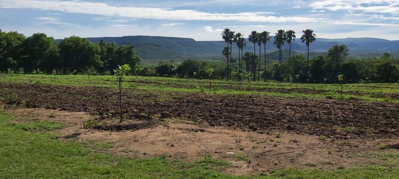 7 Bedroom Property for Sale in Greytown KwaZulu-Natal