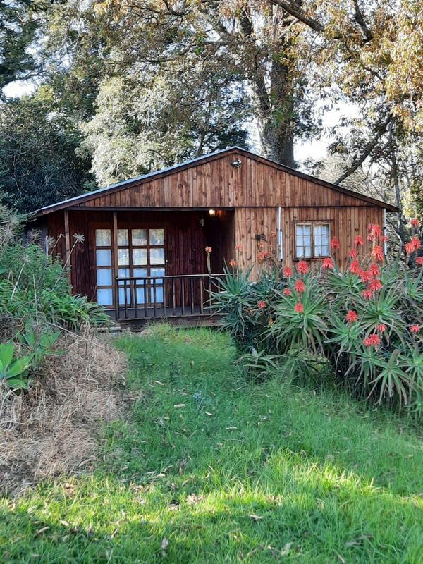 10 Bedroom Property for Sale in Greytown KwaZulu-Natal