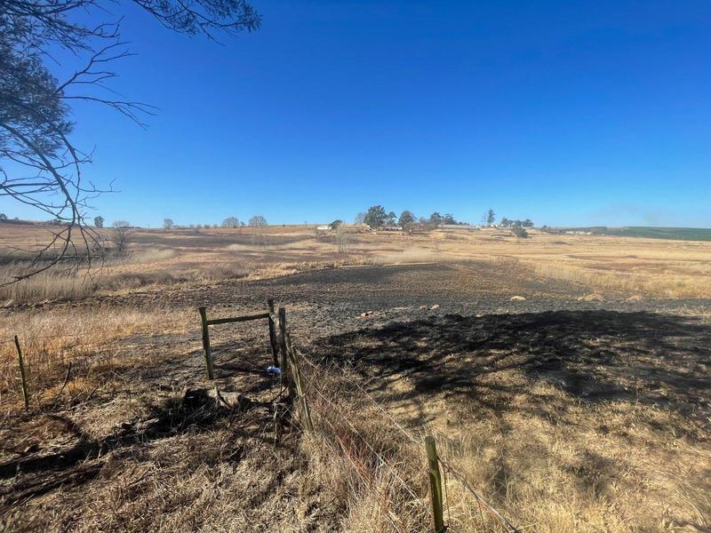 4 Bedroom Property for Sale in Greytown KwaZulu-Natal