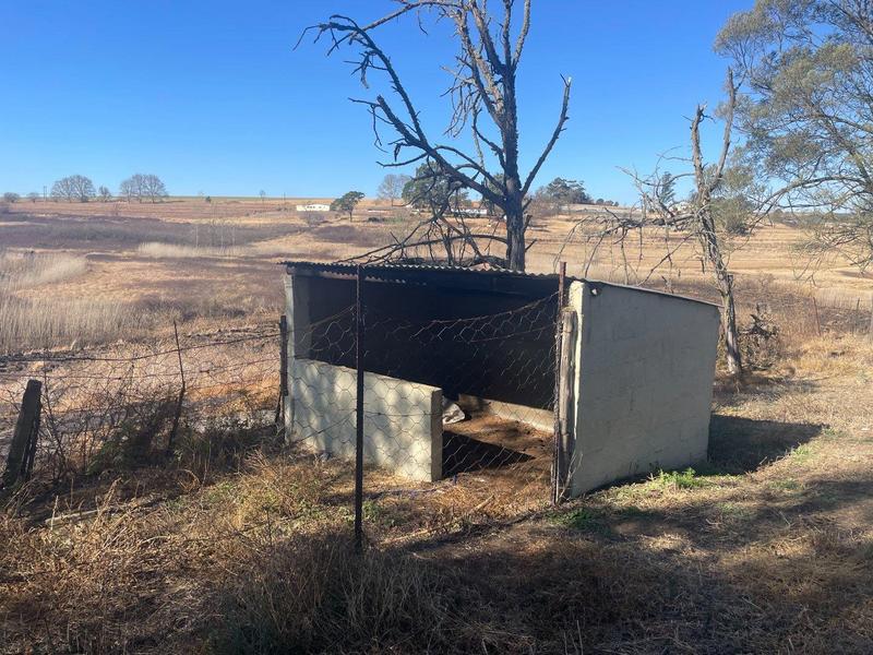 4 Bedroom Property for Sale in Greytown KwaZulu-Natal